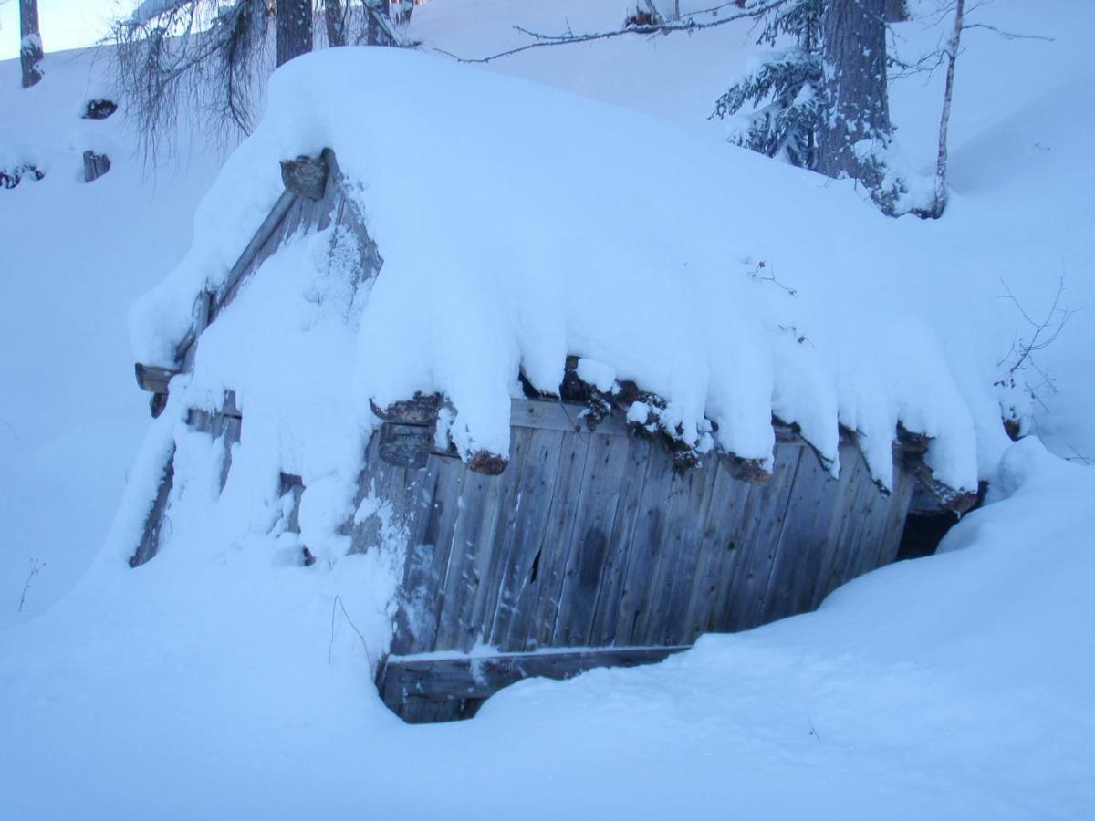 Haus Am Wiesenrain Leutasch Luaran gambar