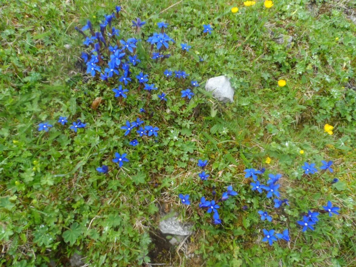 Haus Am Wiesenrain Leutasch Luaran gambar